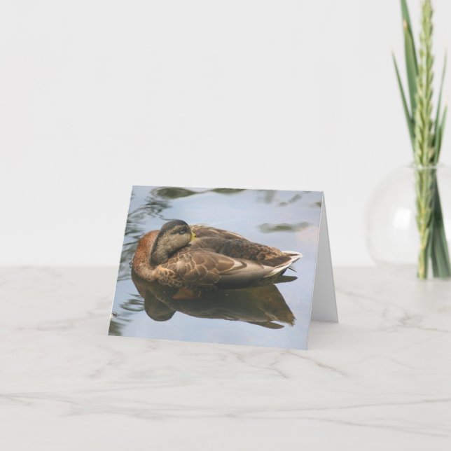 Sleepy Duck Nature Photography Note Karte (Vorderseite)
