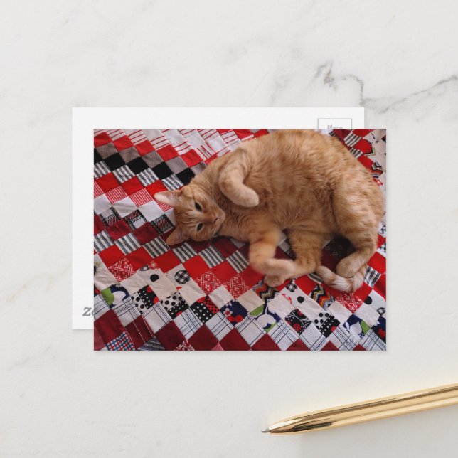 Sleepy Ginger Kitty on a red quilt Postkarte (Vorderseite/Rückseite Beispiel)