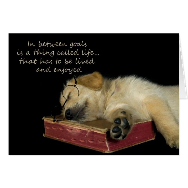 Sleepy Golden Retriever (Vorderseite (Horizontal))