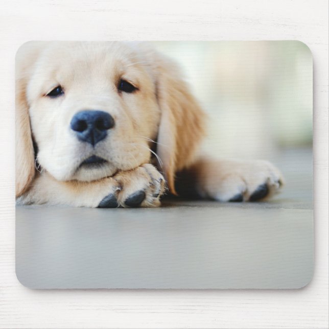 Sleepy Golden Retriever Puppy Mousepad (Vorne)