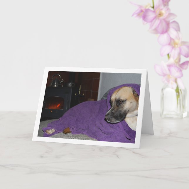 Sleepy Hund durch Feuerstelle Karte (Orchidee)