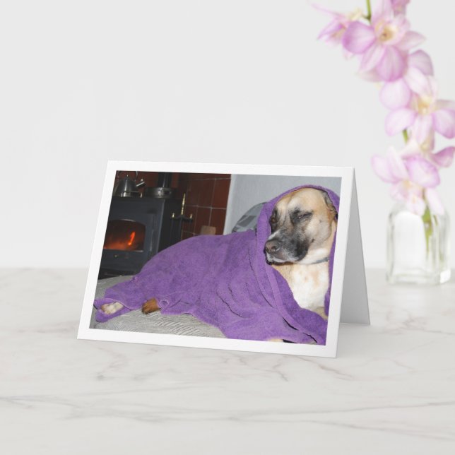 Sleepy Hund durch Feuerstelle Karte (Orchidee)