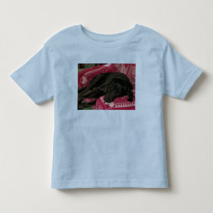 Sleepy Hunde Kleine Ringer T - Shirt
