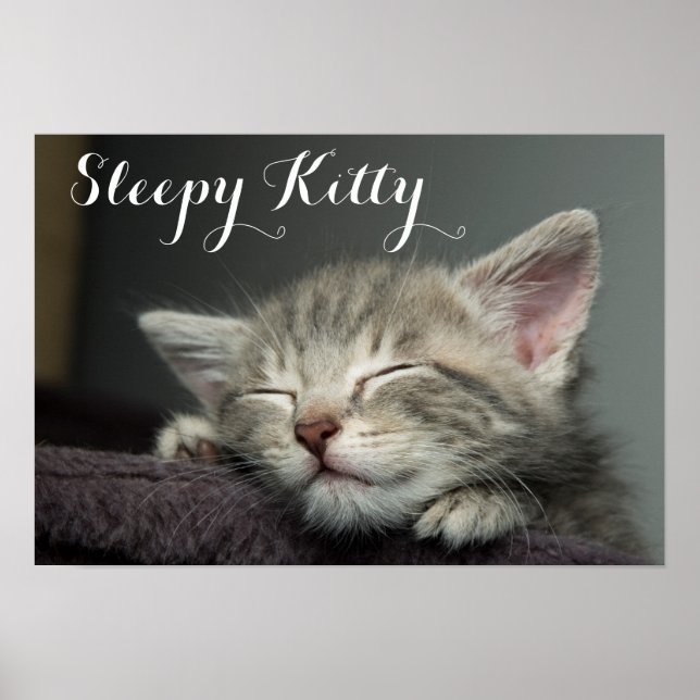 Sleepy Kitten Poster (Vorne)