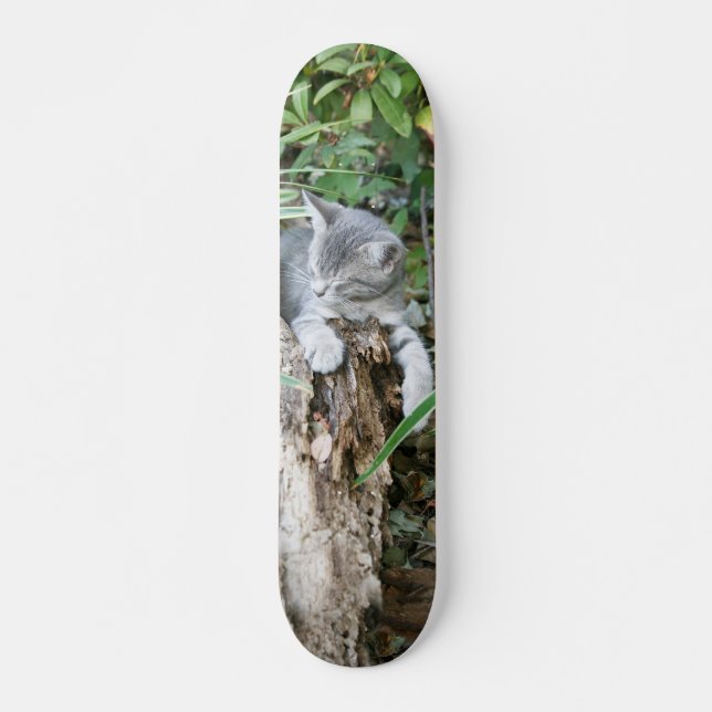 Sleepy kitten Skateboard (Vorne)