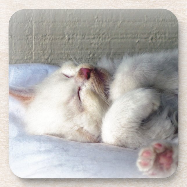Sleepy Kitten Untersetzer (Vorderseite)