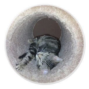 Sleepy Kitty Cat von Shirley Taylor Keramikknauf