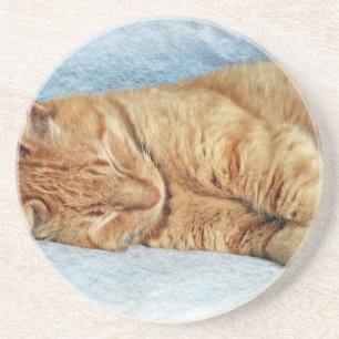 Sleepy Kitty Getränkeuntersetzer
