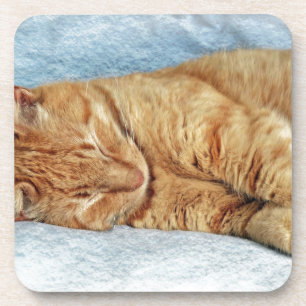 Sleepy Kitty Getränkeuntersetzer
