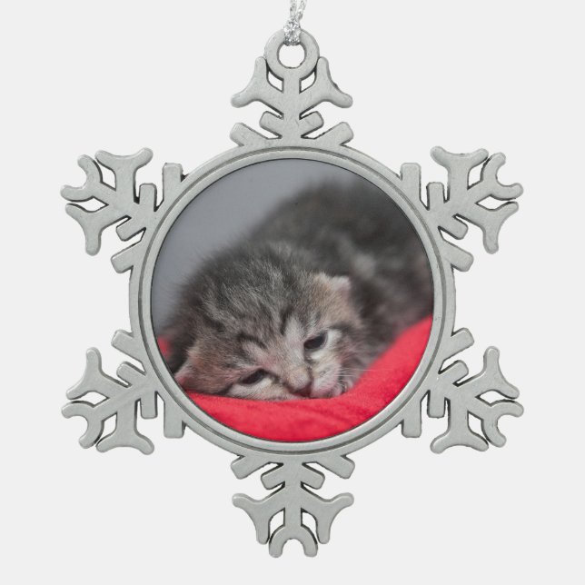 Sleepy kitty schneeflocken Zinn-Ornament (Vorderseite)
