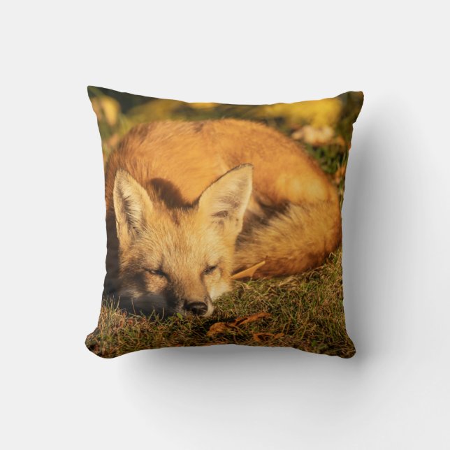 Sleepy Little Fox Kissen (Vorderseite)