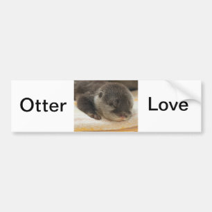 Sleepy Otter Autoaufkleber