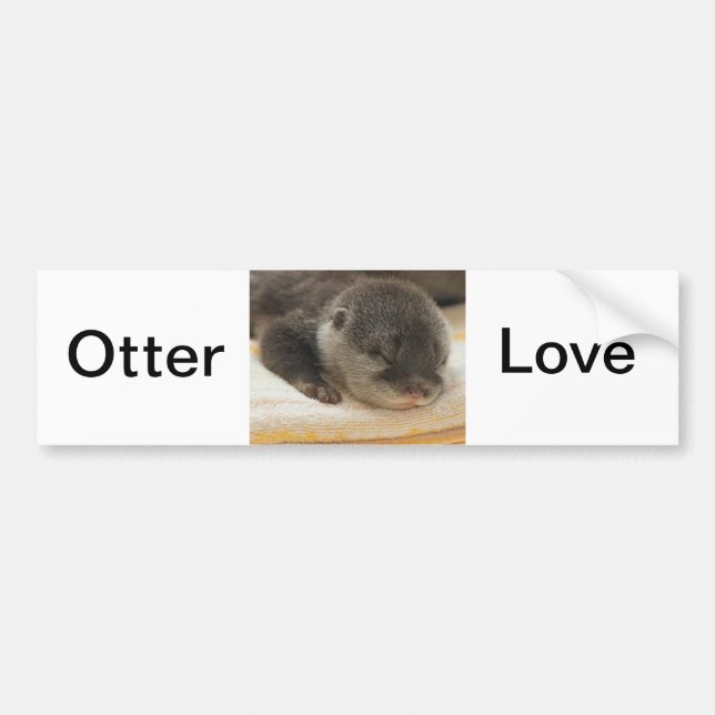 Sleepy Otter Autoaufkleber (Vorne)