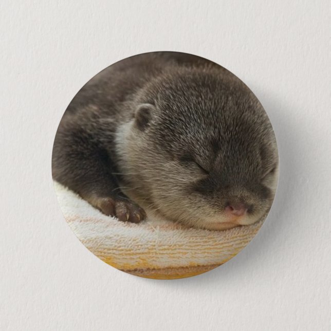 Sleepy Otter Button (Vorderseite)