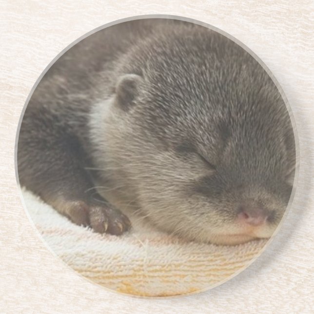 Sleepy Otter Getränkeuntersetzer (Vorne)