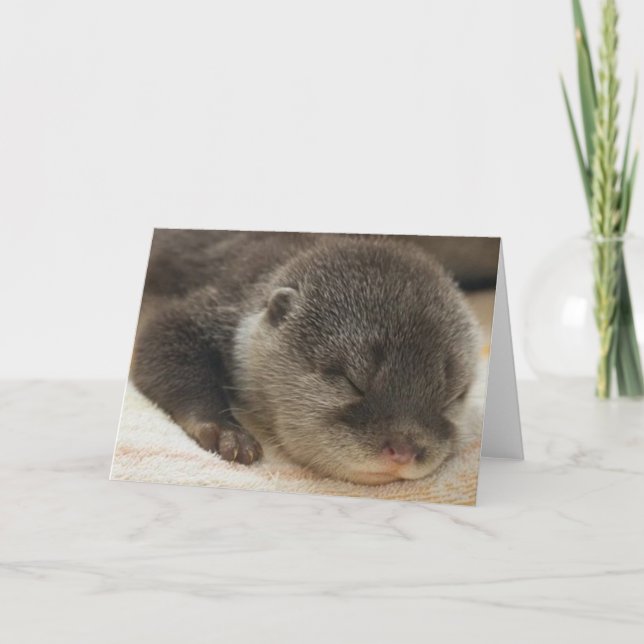 Sleepy Otter Karte (Vorderseite)
