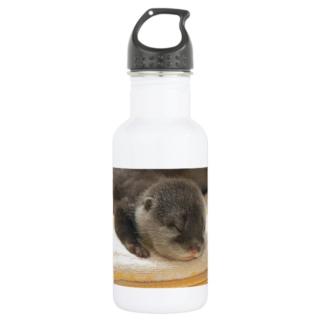 Sleepy Otter Trinkflasche (Vorderseite)