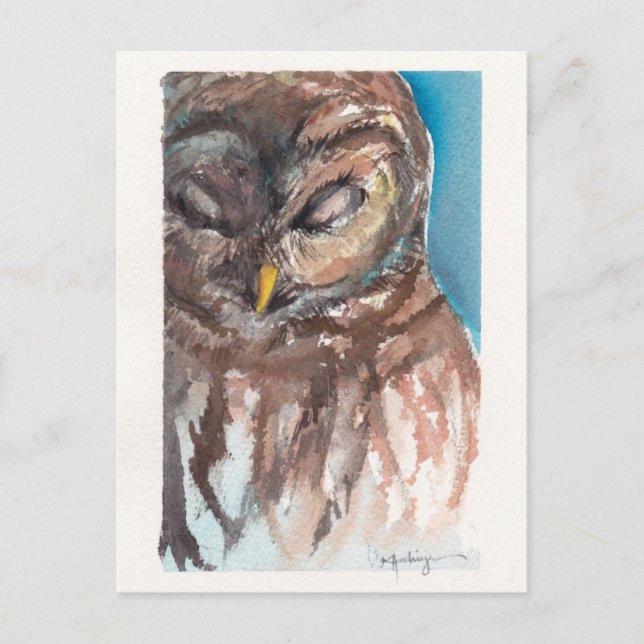 Sleepy Owl Postkarte (Vorderseite)