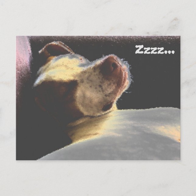 Sleepy Puppy Postkarte (Vorderseite)