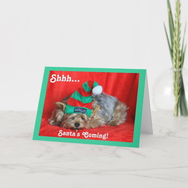 Sleepy Puppy Wear Elf Hat Feiertagskarte (Vorderseite)
