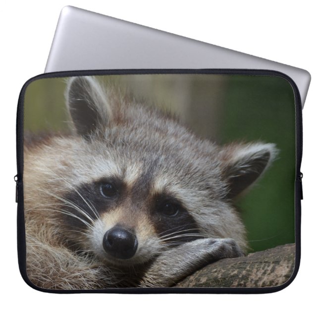Sleepy Raccoon Laptopschutzhülle (Vorderseite)