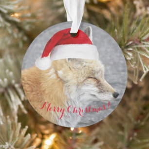 Sleepy Red Fox Tragen Red Weihnachtsmannmütze Holi Ornament