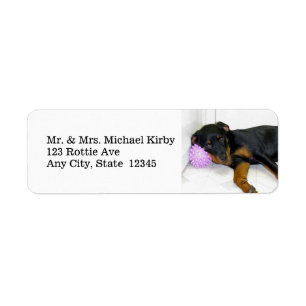 Sleepy Rottweiler Rücksendeadressen-Aufklebers
