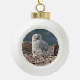 Sleepy Snowy Owl   Keramik Kugel-Ornament