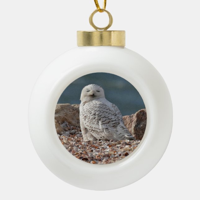 Sleepy Snowy Owl   Keramik Kugel-Ornament (Vorderseite)