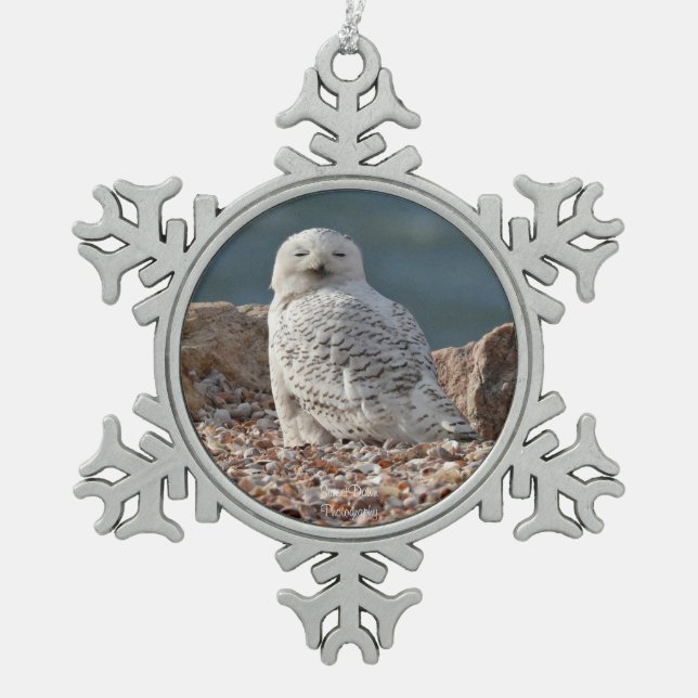 Sleepy Snowy Owl   Schneeflocken Zinn-Ornament (Vorderseite)