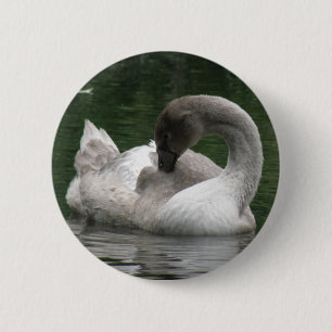 Sleepy Swan Button