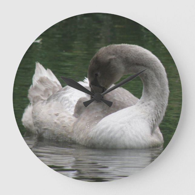 Sleepy Swan Clock Große Wanduhr (Vorderseite)