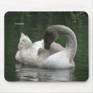 Sleepy Swan Mousepad