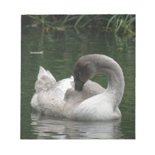 Sleepy Swan Notepad Notizblock