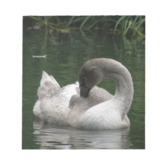 Sleepy Swan Notepad Notizblock (Vorderseite)