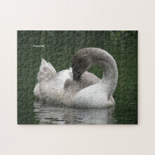 Sleepy Swan Puzzle