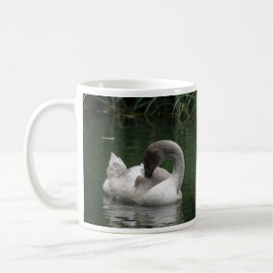 Sleepy Swan Tasse