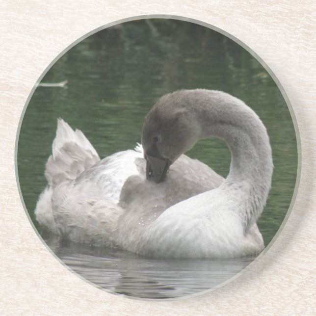 Sleepy Swan Untersetzer (Vorne)