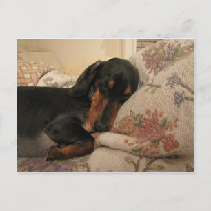 Sleepy Time Postcard Postkarte