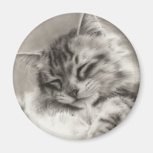 Sleepyhead Maine Coon Magnet (Vorne)