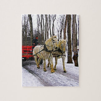Sleigh Reiten im Snow Collection