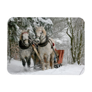 Sleigh Ride im Snowy Forest Magnet