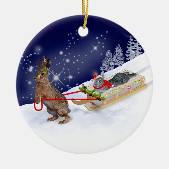 Sleigh Ride Ornament (Vorne)