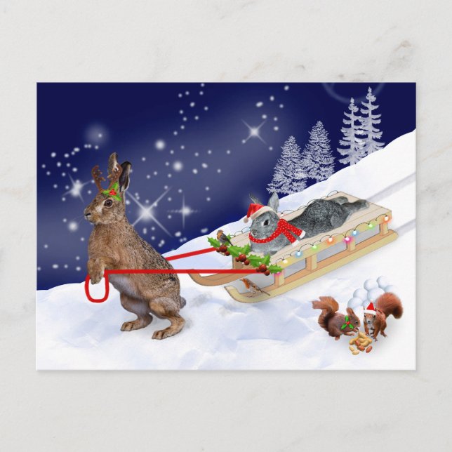 Sleigh Ride Postcard Postkarte (Vorderseite)