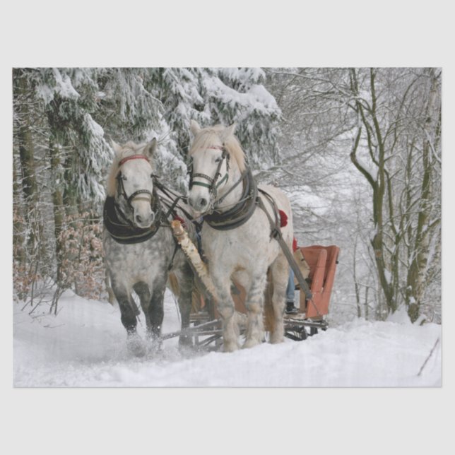 Sleigh Ride Seidenpapier (Vorderseite)