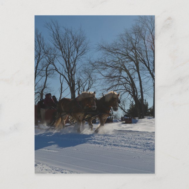 Sleigh ride Stowe Vermont Postkarte (Vorderseite)