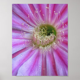 Slice of flatty cake poster