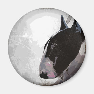 Slick urban English Bull Terrier Kühlschrankmagnet
