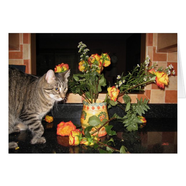 Slim Kitty & les Roses (Devant Horizontal)