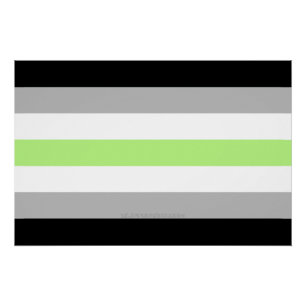SlipperyJoe's Agender Pride Flag Gay Geschenke LGB Poster